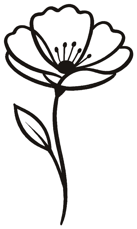 A black poppy drawn in one ink line